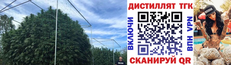 как найти закладки  Волоколамск  ТГК Wax 